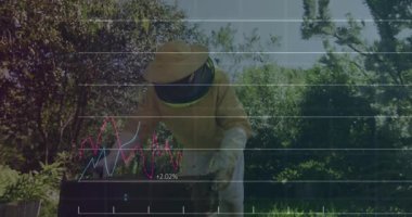 Kıdemli arı yetiştiricisi bal peteği çerçevesini inceliyor, finansal çizelgeleri ve çubuk grafiklerini gösteriyor. Tarım, sürdürülebilirlik, analitik, açık hava, doğa, profesyonellik, sağlık