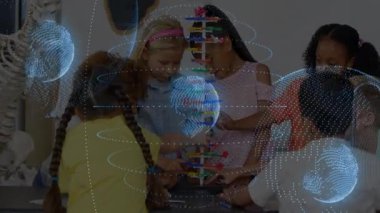 Bilim sınıfında işbirliği yapan öğrenciler, iskelet ve dünya ile DNA modelini birleştiriyorlar. Çocuklar, eğitim, yenilik, teknoloji, takım çalışması, merak, deney