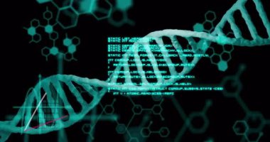Çapraz olarak turkuaz DNA sarmalı gösteriliyor, altıgen moleküller, veri çubukları, eğilim çizgileri yer alıyor. Biyoteknoloji, veri görselleştirme, bilimsel araştırma, moleküler biyoloji, yenilik, dijital grafikler, fütüristik