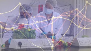 Tarımsal laboratuvarda bitki analizi yapan bilim insanları, ürünler üzerinde parlayan veri düğümlerini gösteriyorlar. Biyoteknoloji, yenilik, kesinlik, araştırma, bilimsel, modern, veri odaklı