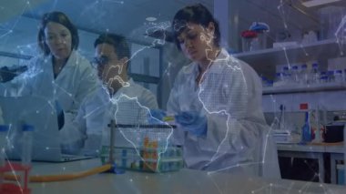 Bilim adamları, dünya haritası ve ağ örtüsünü gösteren bir dizüstü bilgisayarla araştırma laboratuvarında işbirliği yapıyorlar. Araştırma, yenilik, takım çalışması, kesinlik, teknoloji, sağlık, analiz