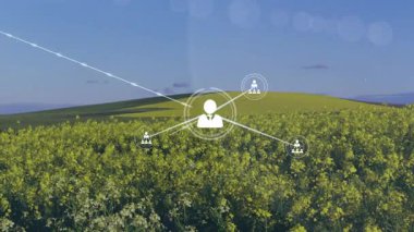 Dijital ağ, kırsal kanola alanını üç boyutlu olarak canlandırarak tepeler arasında parlayan ikonları birbirine bağlıyor. Teknoloji, bağlantı, kırsal, manzara, yenilik, fütürizm, dijital