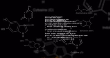 Turuncu 3D ağ, beyaz moleküler diyagramları göstererek siyah renkte parlayan beyin şeklini oluşturuyor. Sinirsel ağ, moleküler biyoloji, veri görselleştirme, bilimsel illüstrasyon, dijital sanat, soyut teknoloji, biyomoleküler oleküler
