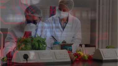 Kadın bilim adamı ve erkek araştırmacı gıda laboratuvarındaki sebze örneklerini animasyon çizelgeleriyle analiz ediyorlar. Bilim insanları, laboratuvar, araştırma, gıda güvenliği, tarım, biyomühendislik, bilimsel