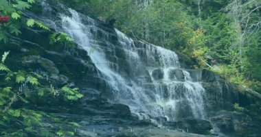Şelaleyi kademeli olarak görselleştirmek, finansal verileri görselleştirmek, şamdan çizelgeleri ve yüzde işaretlerini göstermek. Doğa, manzara, orman, sükunet, ekoloji, veri görselleştirme, analitik