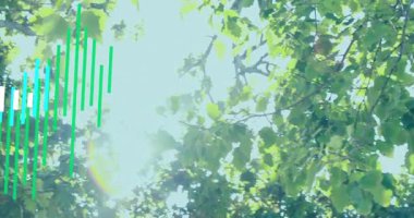 Renkli ekolayzır çubuklar yapraklı tepe örtüsü üzerinde yükseliyor, güneş ışığı düz tasarımla dalların arasından süzülüyor. Doğa, dijital, ortam, organik, canlılık, dinginlik, açık hava