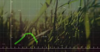 Yeşil çizgi çizelgesi bulanık çimen arkaplanının üzerinde yüzüyor, saydam ızgarada sayısal etiketleri gösteriyor. Finansal, analitik, veri görselleştirme, açık hava, doğal büyüme, başarı