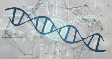 Çerçeveyi saran mavi DNA sarmalı, siyan devre izlerini örtüyor ve dünya haritası siluetlerini birbirine bağlıyor. Gelecek, teknoloji, yenilik, bilim, bağlantı, dijital, veri