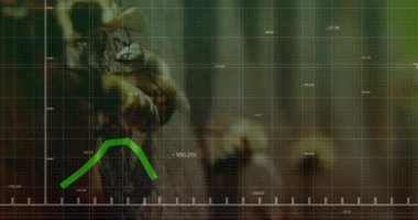 Şebeke üzerinde yükselen yeşil çizgili grafik, yaprakların ve arıların üzerinde süzülen sayısal etiketler. Soyut, veri görselleştirme, dijital arayüz, analitik, biyoteknoloji, çevre dostu, modern