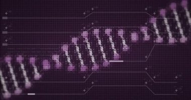 Dikey parlayan morumsu düğümleri gösteren dijital panel dalga bantlarını sayısal etiketlere bağlıyor. Teknoloji, veri, görselleştirme, fütüristik, arayüz, analiz, dijital