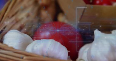 Olgun kırmızı domates mavi veri alıyor ve karton sandığın üzerinde parlak merkezde birleşiyor. Üretim, tarım, dijital, teknoloji, tazelik, sağlık, yenilik