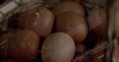 Kahverengi yumurtalar samanlıkta yuva yapıyor, düz dizaynlı animasyon veri grafikleri ve rakamsal örtüler. Organik, kırsal, modern, veri görselleştirme, tarım, analitik, doğal