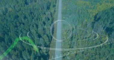 Orman yolu boyunca giden koyu renk araç yeşil kontrol ve veri düğümleriyle örtüşen bir arayüz gösteriyor. Otomotiv, teknoloji, navigasyon, vahşi doğa, veri görselleştirme, bağlantı, macera