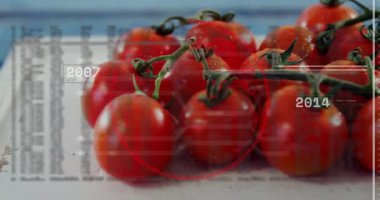 Olgun kırmızı domatesler sarmaşık üzerinde dönüyorlar ve yuvarlak HUD 2004 2019 hata kodlarıyla örtülüyorlar. Meyve, teknoloji, dijital, yenilik, fütüristik, sağlık, organik