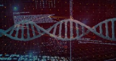 DNA çift sarmallı sanal kırmızı ızgara boyunca kıvrımlı düğümleri birleştiren parlayan veri noktaları. Fütürist, dijital, bilim, biyoteknoloji, teknoloji, veri görselleştirme, yenilik