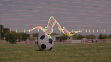 Çimlerde top oynayan bayan futbolcu pembe çizgiler çiziyor ve şamdan kalemlerini finanse ediyor. Atletik, spor, açık hava, dinamik, aksiyon, sağlık, spor