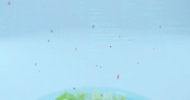 Cam kâse salatası, marul, peynir ve döviz sembollerini gösteren veri akışı olarak görselleştiriliyor. Taze üretim, dijital sanat, modern tasarım, sağlık, teknoloji, veri görselleştirme, temiz estetik