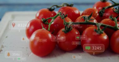 Tezgahta su damlacıkları ve yüzen uyarı simgeleriyle duran kırmızı domates kümesi. Taze üretim, tarım, organik, canlı, dijital teknoloji, sağlık, pazar