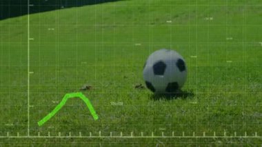 Siyah şort giyen erkek sporcu teknoloji için yeşil grafik örtüsü gösteren futbol topunu tekmeliyor. Atletik, performans, dijital, spor, analiz, yoğunluk, enerji