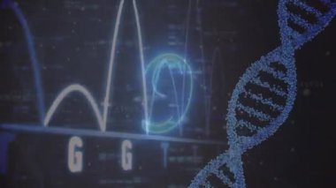 3 boyutlu DNA sarmalı görselleştiriliyor. Altı numaralı parlayan dalga şeklinin yanında dönüyor. Veri çıktıları. Bilim, biyoteknoloji, yenilik, dijital, fütürizm, araştırma, analitik