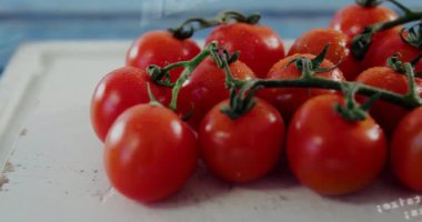 Kırmızı sarmaşık domatesleri su damlacıklarının yapışmasını ve programlama kodunun çapraz çalışmasını gösteriyor. Üretim, tarım, teknoloji, dijital, tazelik, tarım, sanayi