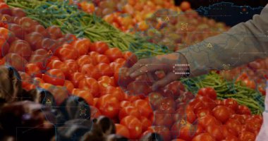 Olgun domatesleri tezgahın üzerinde tutmak, tarım teknolojisi grafikleri ve dünya haritalarını birleştirmek. Üretim, pazar, tarım, dijital, yenilik, tazelik, sürdürülebilirlik