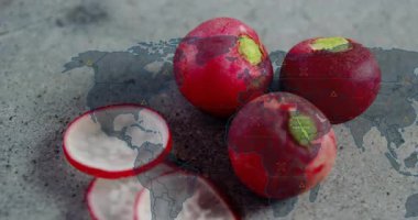 Tüm ampulleri ve dilimlenmiş mermileri içeren kırmızı turp kümesi dijital ağ örtüsünü gösteriyor. Sebzeler, sağlıklı, organik, pazar, modern, teknoloji, yenilik