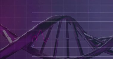 Mor gradyan ızgarada üç boyutlu çift sarmal, neon çizgi grafikleri ve çubuk grafiklerini gösteriyor. Biyoteknoloji, veri analizi, yenilik, dijital alarm, bilimsel, gelecekçi, teknoloji