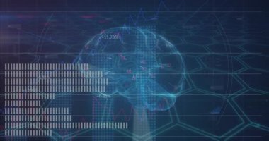 Yarısaydam üç boyutlu beyin hologramı karanlık arayüzde görselleştiriliyor çubuk grafikleri ve çizgi grafiklerini gösteriyor. Futuristik, teknoloji, veri, yenilik, görselleştirme, dijital, arayüz