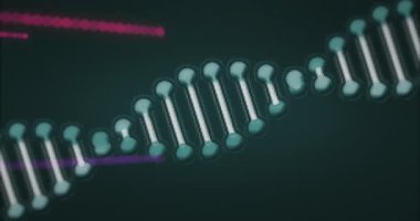 Soyut dijital ağ akışı görselleştiriliyor, parlak hap şekilli düğümler ve neon çizgiler gösteriliyor. Gelecek, teknoloji, veri, bağlantı, dijital, neon, soyut