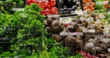 Pancar kökleri, maydanoz, biber ve şalgam üzerine veri içeren 3 boyutlu görüntüleme ekran görüntüsü. Taze ürün, piyasa görüntüleme, dijital entegrasyon, tarım teknolojisi, organik sebzeler, bakkal, veri görselleştirme