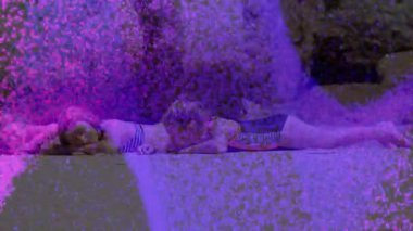 Beyaz yüzeyde yatan üç kardeş, teknoloji tasarımı için mor bir arıza sergiliyorlar. Kardeşler, çocukluk, eğlence, şakacı, dijital, arıza, canlı