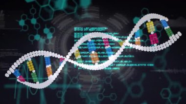 Renkli nükleotit çiftleri ve HUD simgelerini gösteren çift sarmallı DNA. Moleküler yapı, biyoteknoloji, geleceksel arayüz, veri görselleştirme, bilimsel görselleştirme, genetik araştırma, dijital teknoloji