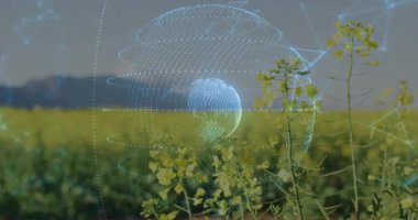 Üç boyutlu tarım küresi sarı ekin tarlalarının üzerinde süzülüyor, parlayan düğümleri tarlalarda birleştiriyor. Tarım, teknoloji, çevre dostu, yenilik, dijital bağlantı, manzara