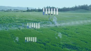 Yeşil ekin alanı, yüzen bar çizelgeleriyle canlandırılıyor. Grafik çizgileri, dünya simgeleri düz tasarım. Tarım, veri görselleştirme, teknoloji, kırsal, yenilik, sürdürülebilirlik, analitik