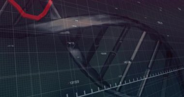 3D yarı saydam DNA çift sarmal ızgara boyunca kıvrılarak sayısal etiketleri ve kırmızı çizgi grafiğini gösteriyor. Bilim, teknoloji, veri, yenilik, gelecek, analiz, dijital
