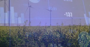 Sarı ekin alanı üzerinde yükselen rüzgar türbinleri ızgara çizgileri, sayısal örtüler ve grafikler gösteriyor. Yenilenebilir enerji, sürdürülebilirlik, kırsal manzara, veri analizleri, modern teknoloji, çevresel etki, temiz güç