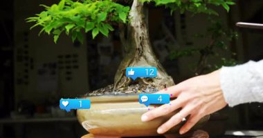 Ofiste çenesini tutan bir kadın, yüzen sosyal medya ikonları ve bonsai ile etkileşim içinde. Düşünce, huzur, farkındalık, yeşillik, çalışma alanı, iletişim, minimalizm