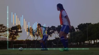 Grup futbolcuları akşam karanlığında çimen sahasında oyun oynayarak spor analitik grafiklerini sergiliyorlar. Atletizm, takım çalışması, spor, açık hava, gün batımı, yarışma, antrenman