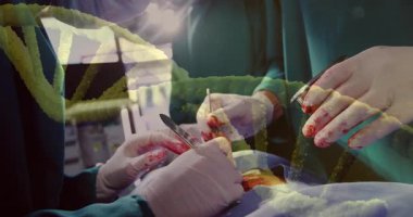 Ameliyathanede ameliyat yapan kadın cerrahlar, ellerinde yüzen sağlık raporlarıyla neşter forsepsleri tutuyorlar. Tıbbi, sağlık, ameliyat, cerrahi, hastane, müdahale, kesinlik