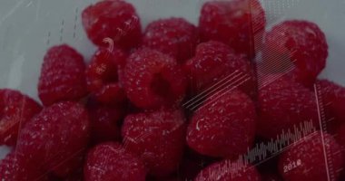 Şeffaf dijital analitik içeren ahududular çizgi grafikleri ve çubuk grafiklerini gösteriyor. Taze üretim, sağlık, teknoloji, endüstri, veri görselleştirme, canlı, dijital