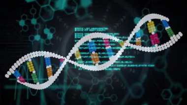 3D stilize edilmiş DNA sarmalı yüzüyor, altıgen ızgara ve kod metni ile küre çiftlerini gösteriyor. Moleküler, biyoteknoloji, teknoloji, bilim, yenilik, fütürist, veri