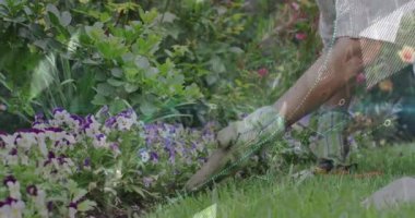 Son sınıf kadın bahçıvanlığı teknolojiyi kullanarak, yüzen haritalar, dünya haritaları ve ikili kodlar sergiliyor. Botanik, açık hava, doğa, yenilik, sükunet, bahçıvanlık, sağlık