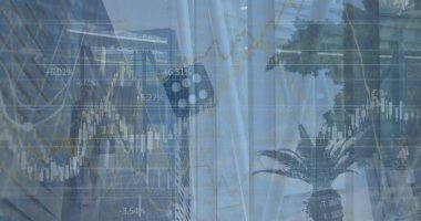 Dalış, palmiye ağaçları ve Kafkasyalı iş kadını yürüyüşü üzerine finansal veriler. Küresel ekonomi, finans, iş ve teknoloji kavramı dijital olarak oluşturulmuş görüntü.