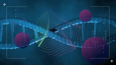 Biyoteknoloji ekibi, parlak DNA sarmalını neon kablolar ve morumsu kürelerle karanlık arka planda sergiliyor. Fütürist, bilimsel, teknoloji, yenilik, soyut, canlı, dijital