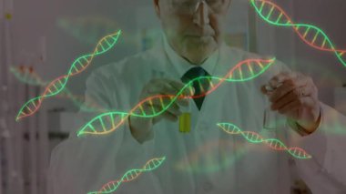 Kıdemli bilim adamı laboratuarda cam şişeleri yüzen DNA sarmal grafikleriyle karşılaştırıyor. Araştırma, biyoteknoloji, yenilik, analiz, bilimsel, deney, sağlık