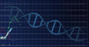 Karanlık ızgara üzerinde dönen DNA çift sarmal renkli çizelgeler ve şamdan çubukları gösteriyor. Biyoteknoloji, finans, veri, analitik, teknoloji, yenilik, görselleştirme