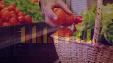 Erkek el, gıda pazarında hasır sepete kırmızı domates yerleştiriyor. Fiyat etiketleri de var. Üretim, çiftlik zekası, taze sebze, kırsal, tarım, sağlıklı gıda, çiftlik çatalı