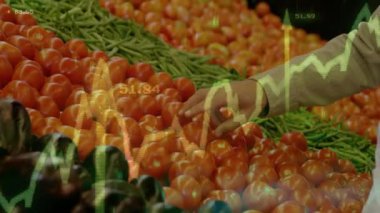 Domates tezgahını yeşil fasulye ve domateslerle doldurulmuş finans tablolarını gösteren bir adam seçiyor. Market, pazar, organik, sağlıklı, taze, perakende, üretim