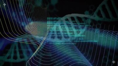 Neon kılavuz çizgileri üzerinde soyut DNA sarmalı canlandırılıyor, parlayan kod ve karanlık kullanımda tıbbi haçlar. Futuristik, biyoteknoloji, yenilik, dijital, bilimsel, görselleştirme, veri